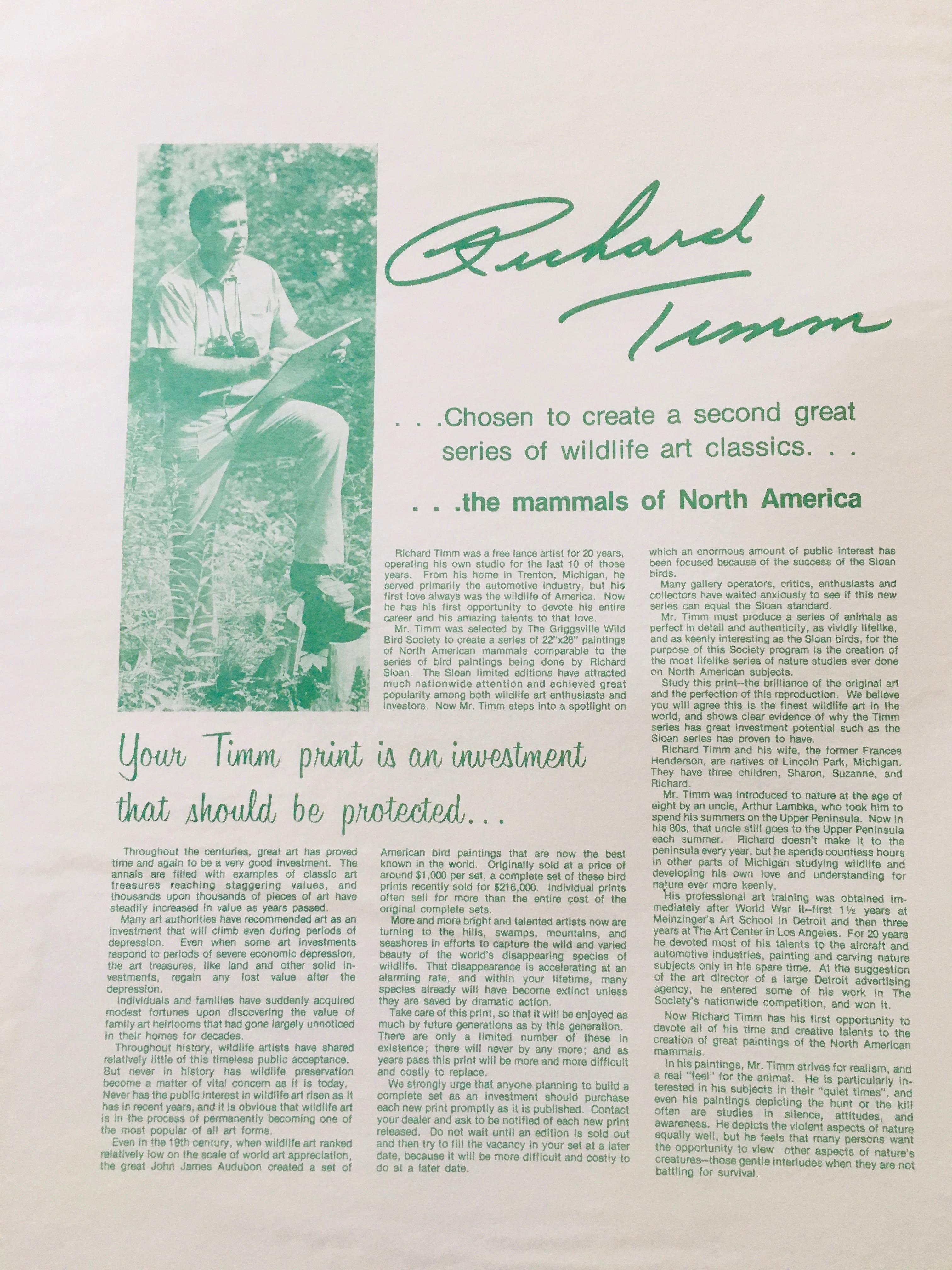 1975 Richard Timm - FLORIDA KEY DEER - Signed - 22" X 28" ODOCOILEUS VIRGINIANUS CLAVIUM 152092