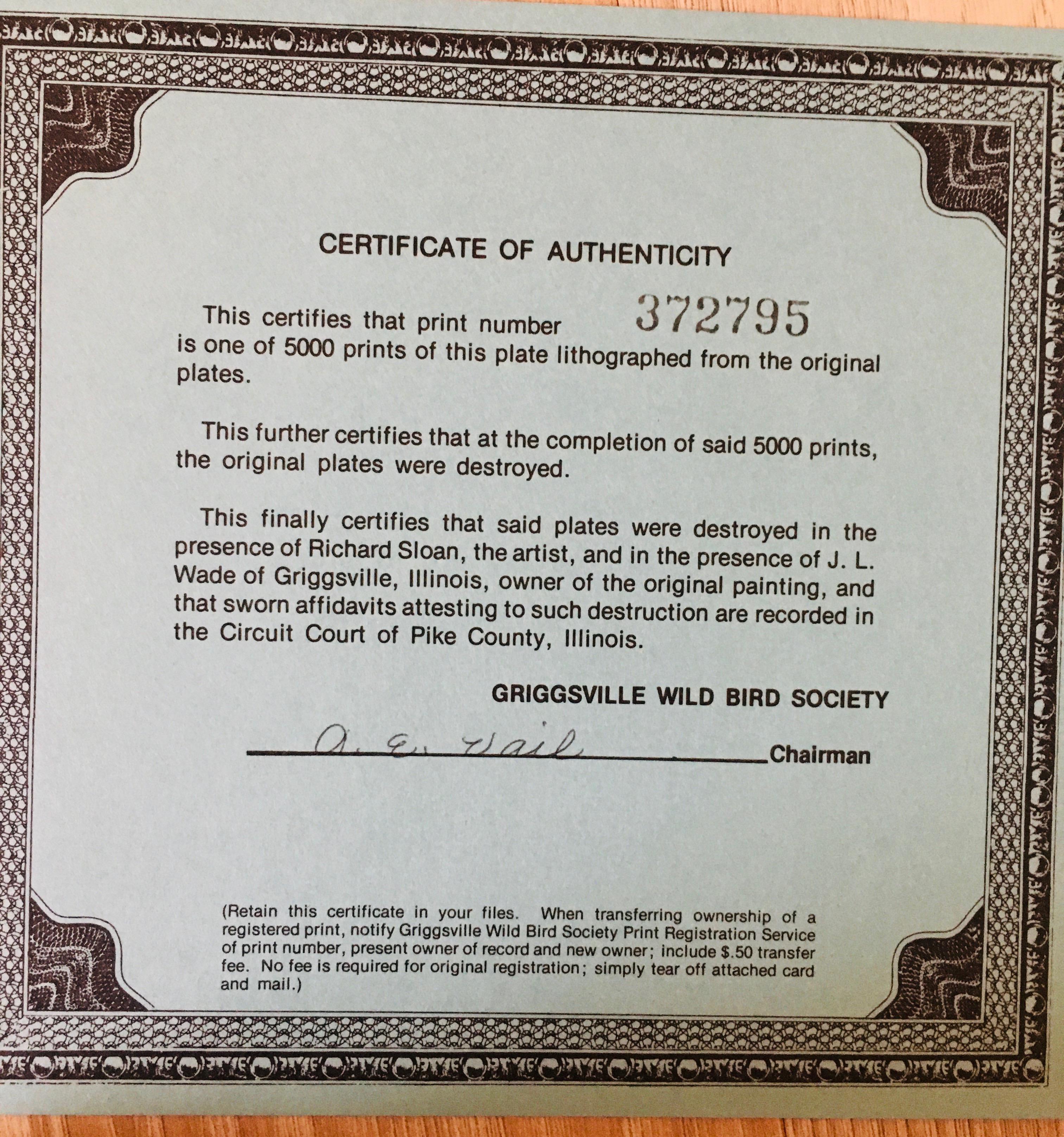 1975 Richard Sloan - GREAT EGRET - Signed - 22” x 28” CASMERODIUS ALBUS 372795