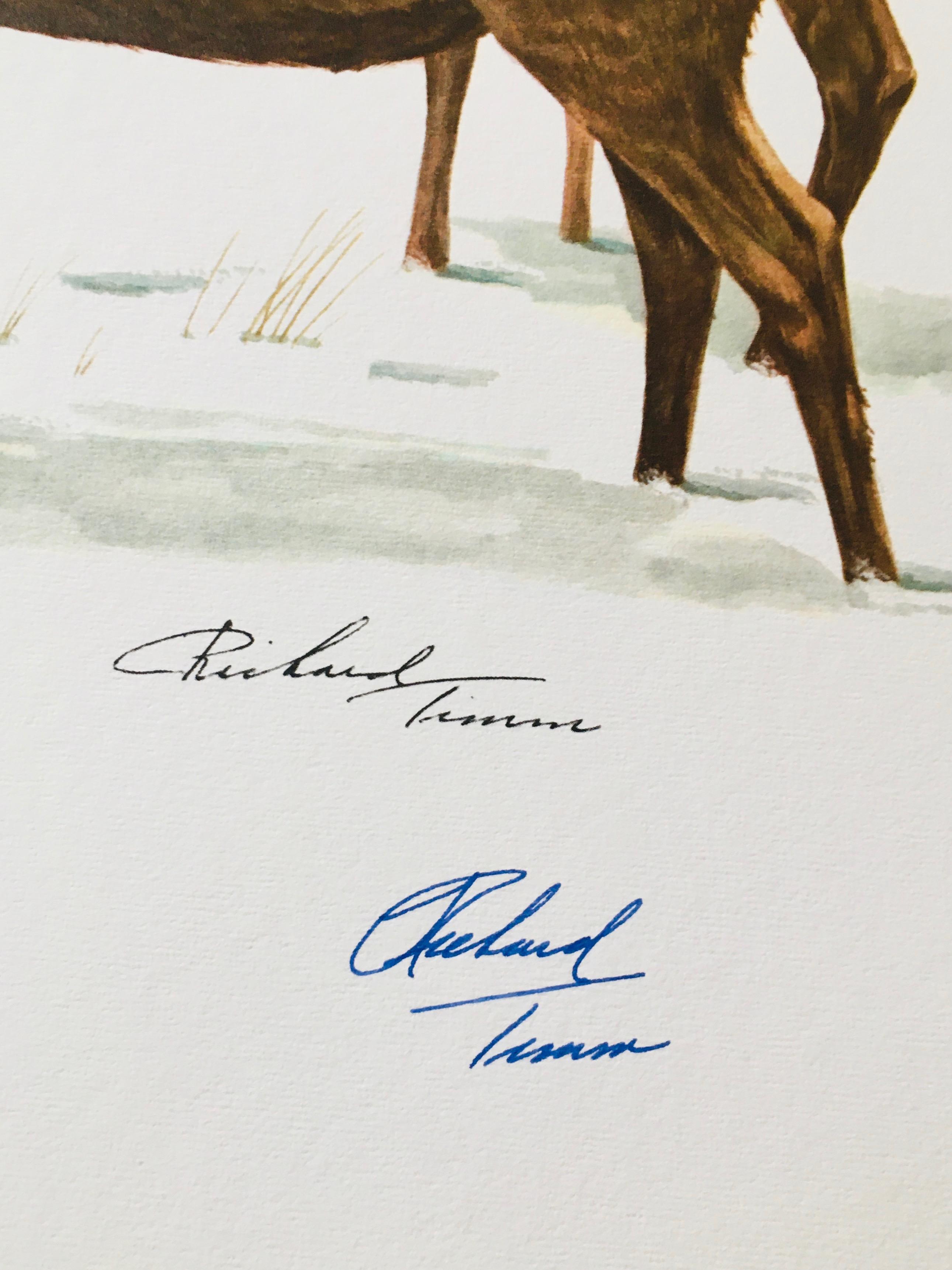 1973 Richard Timm - ELK Signed - 22" X 28"  CERVUS CANADENSIS 035174