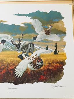 1975 Richard Sloan - WILLOW PTARMIGAN - Signed - 22" X 28" LAGOPUS LAGOPUS  350910