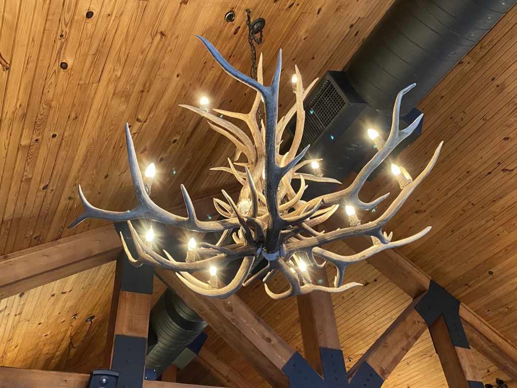 Elk Antler Chandelier, Large