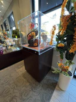 Nice Floor Model Upright Slide-Out Display Case