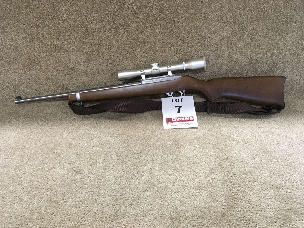 Ruger model 10-22 stainless carbine