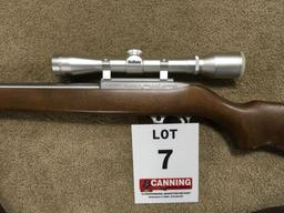 Ruger model 10-22 stainless carbine