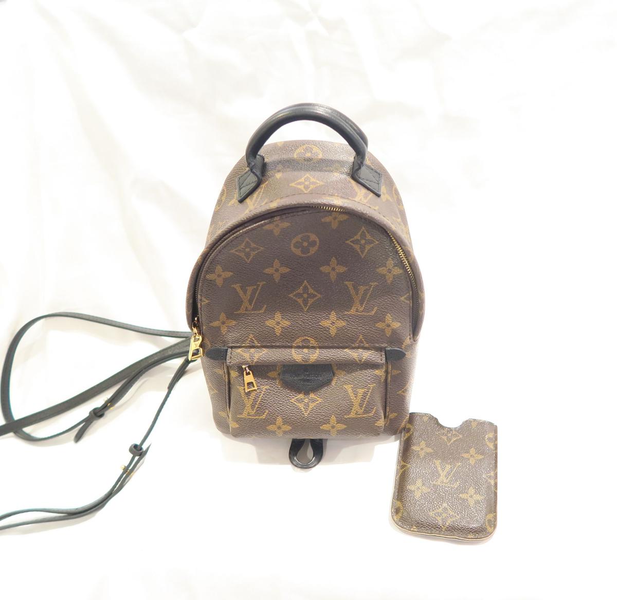 Louis Vuitton Palm Springs Backpack Mini Monogram