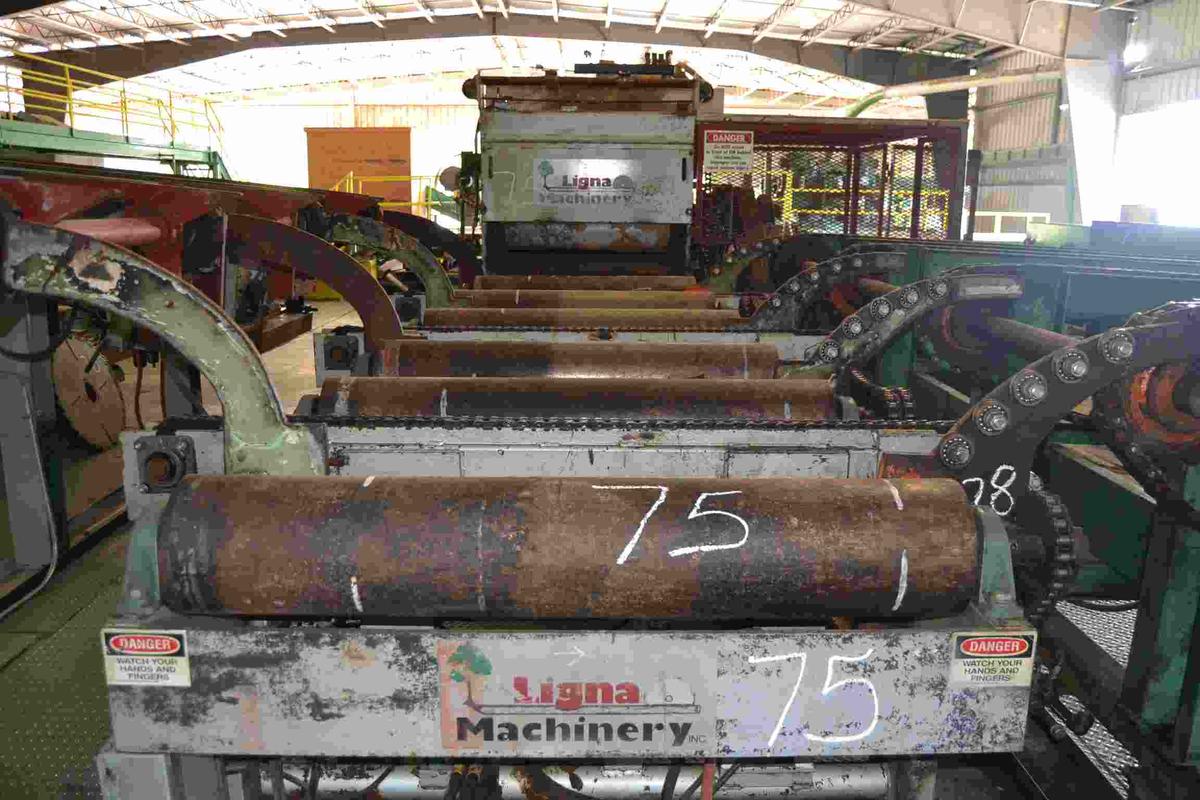 LIGNA 9"X48' TOP ARBOR GANG W/ (2) 200HP MOTOR W/ 15' INFEED ROLLCASE W/ CANT TURNERS W/ POSITIONERS