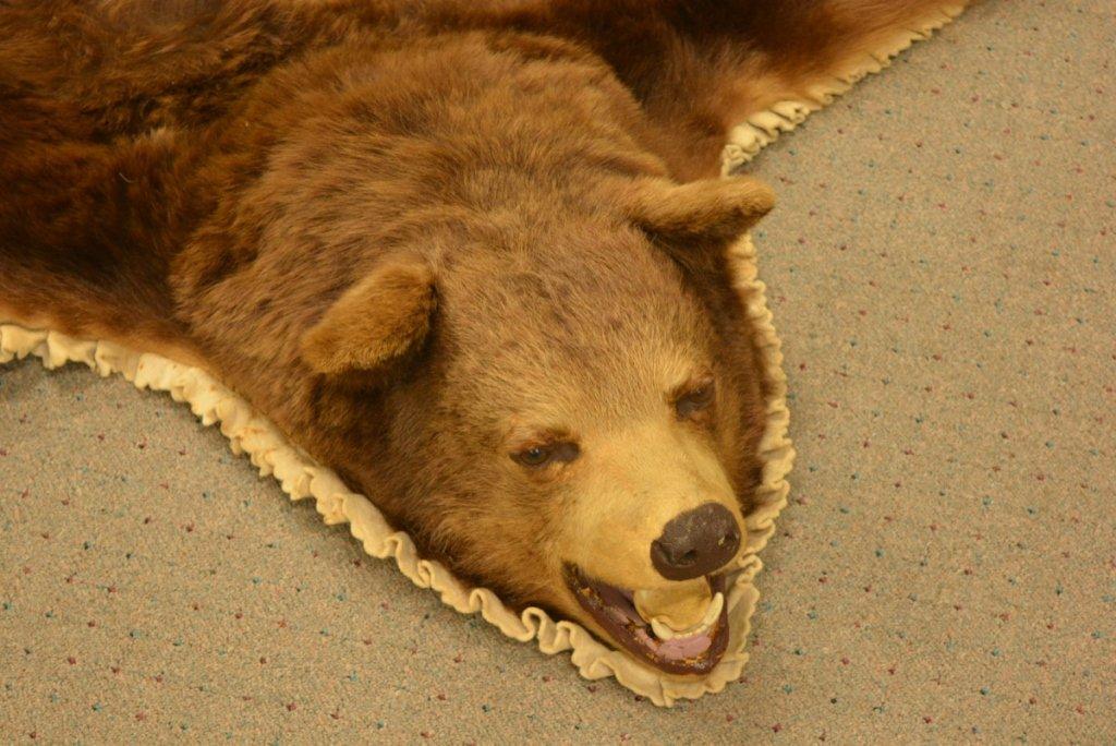 Black Bear rug