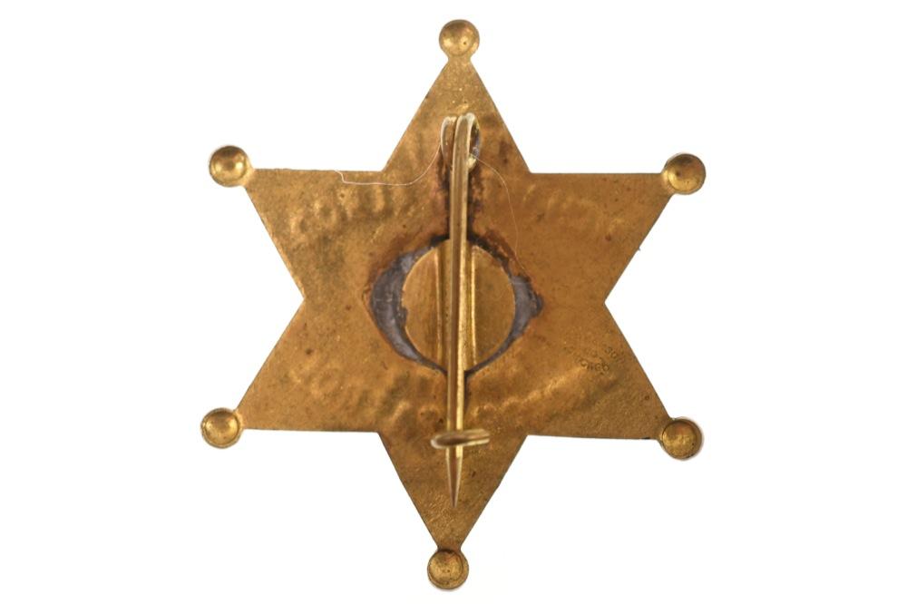 Obsolete Cook Co. Sheriff Deputy Jr. Patrol Badge