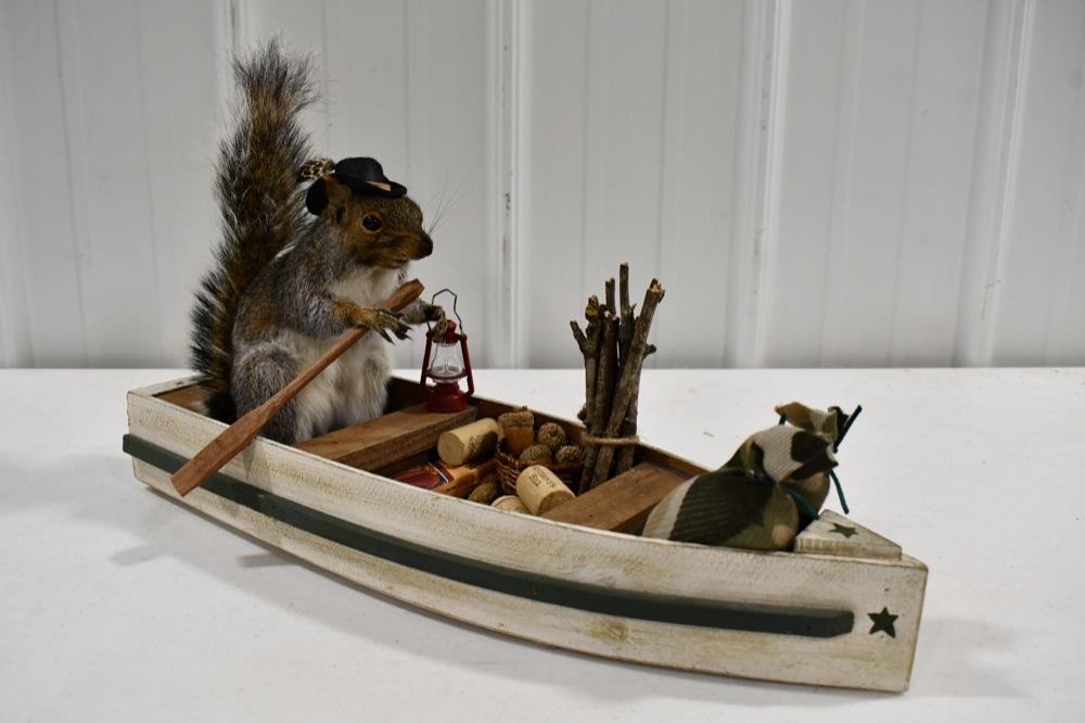 Full Body Grey Squirrel Mount In Boat