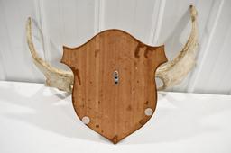 Moose Antler Rack On Wood Wall Mount Plaque