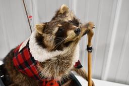 Full Body Fishing Raccoon In Boat w/ Perch
