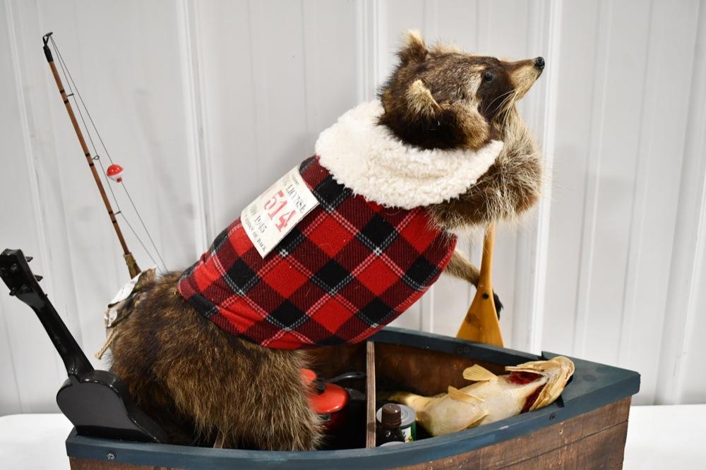 Full Body Fishing Raccoon In Boat w/ Perch