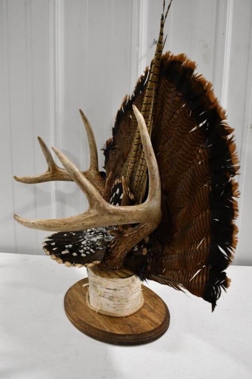 9-Point Deer Rack w/ Turkey Fan w White Birch Base