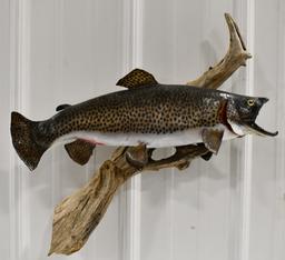 Full Body Leopard Trout On Driftwood Wall Mount