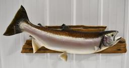 Full Body Steel Head Trout Taxidermy Wall Mount