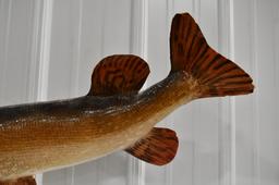 Full Body Muskie Taxidermy Wall Mount