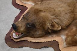 Brown Bear Full Body Taxidermy Rug