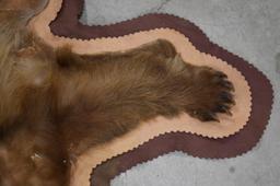 Brown Bear Full Body Taxidermy Rug