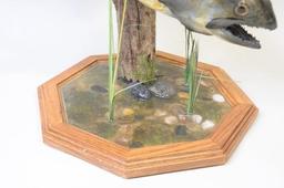 Full Body King Salmon On Driftwood Display