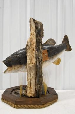 Taxidermy Large Mouth Bass On Driftwood Resin Base