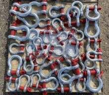 DIGGIT 38pc Screw Pin Anchor Shackles