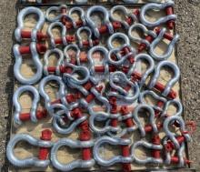 DIGGIT 38pc Screw Pin Anchor Shackles