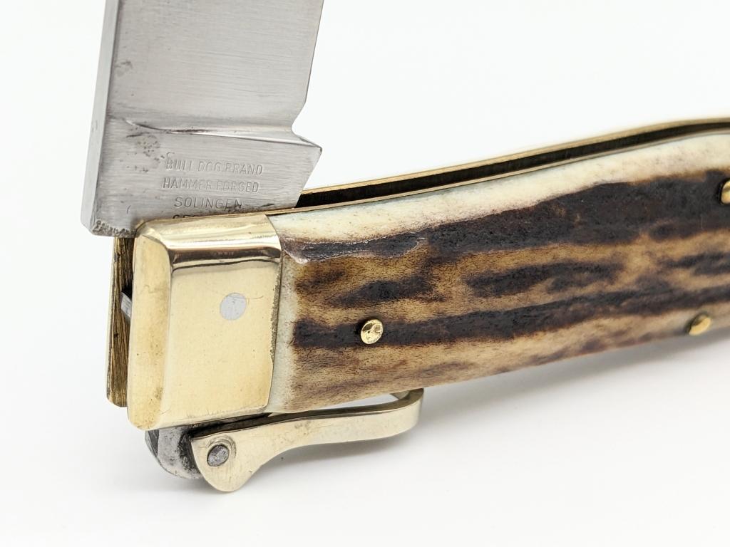 Bulldog Brand Solingen Stag Lockback Folding Knife