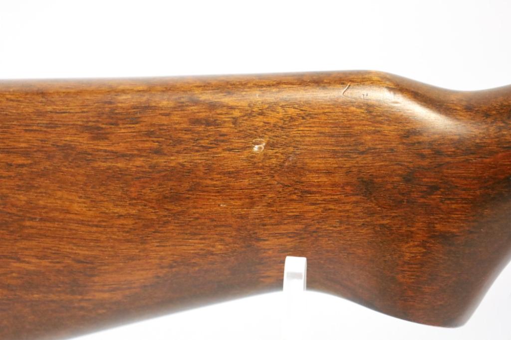 Ruger Model 10/22 .22 LR Semi Auto Rifle