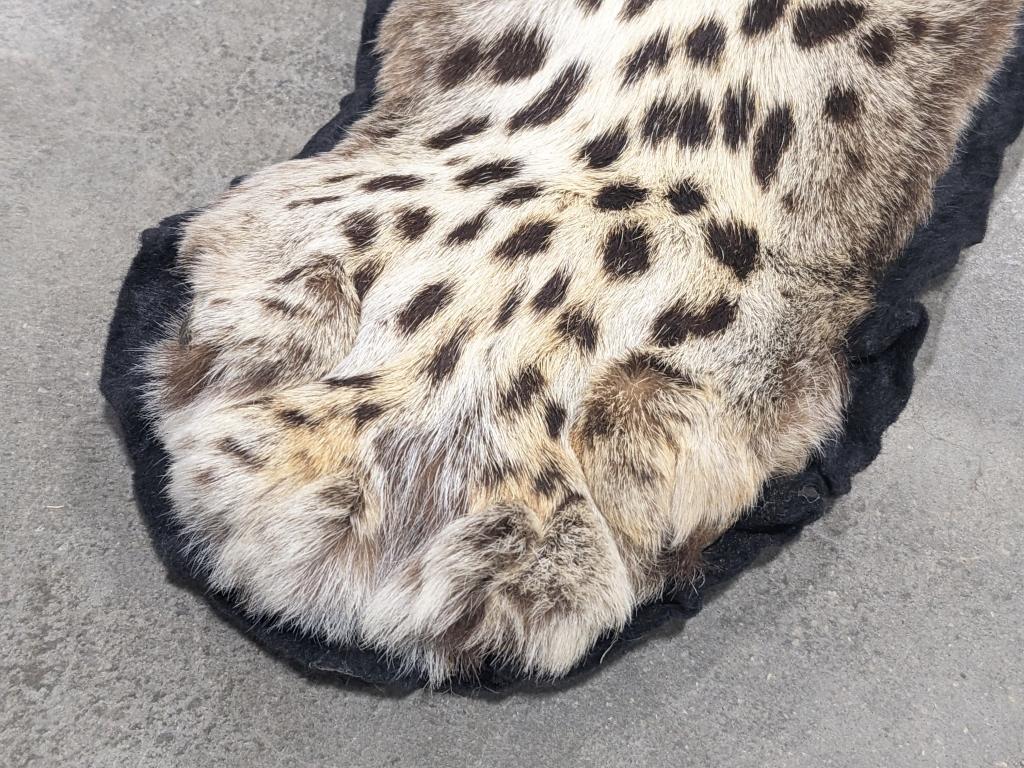 Large Full Body African Leopard Pelt Rug on Mat