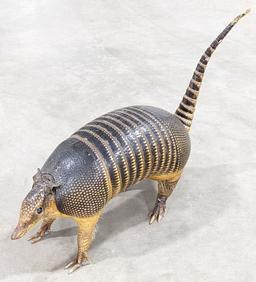 Full Body Armadillo Taxidermy Mount