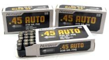 (3) Hotshot .45 Auto Ammunition