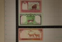 3-2020 NEPAIL CRISP UNC, COLORIZED BILLS: 5 RUPEES