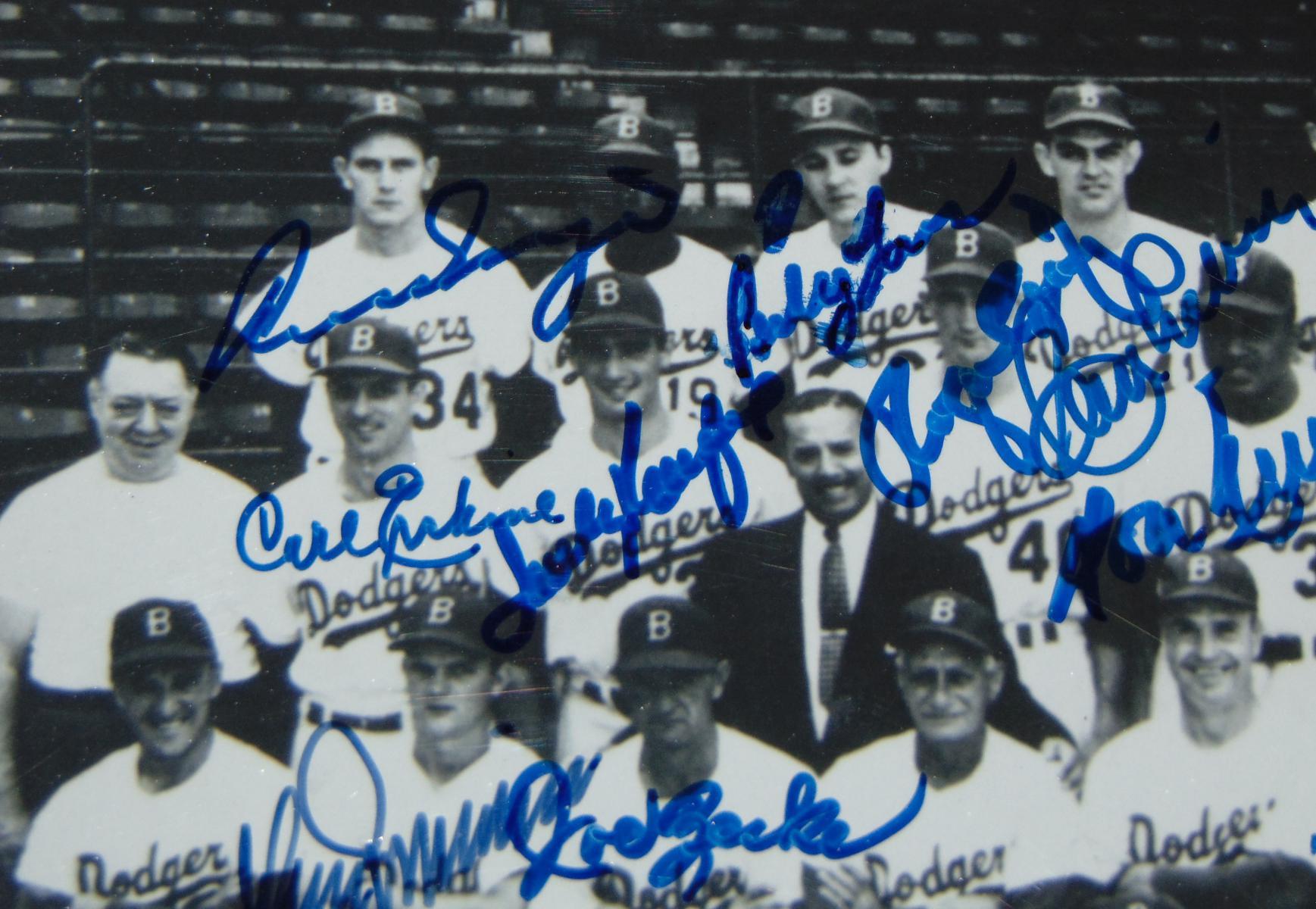 1955 Brooklyn Dodgers Photo Signed.