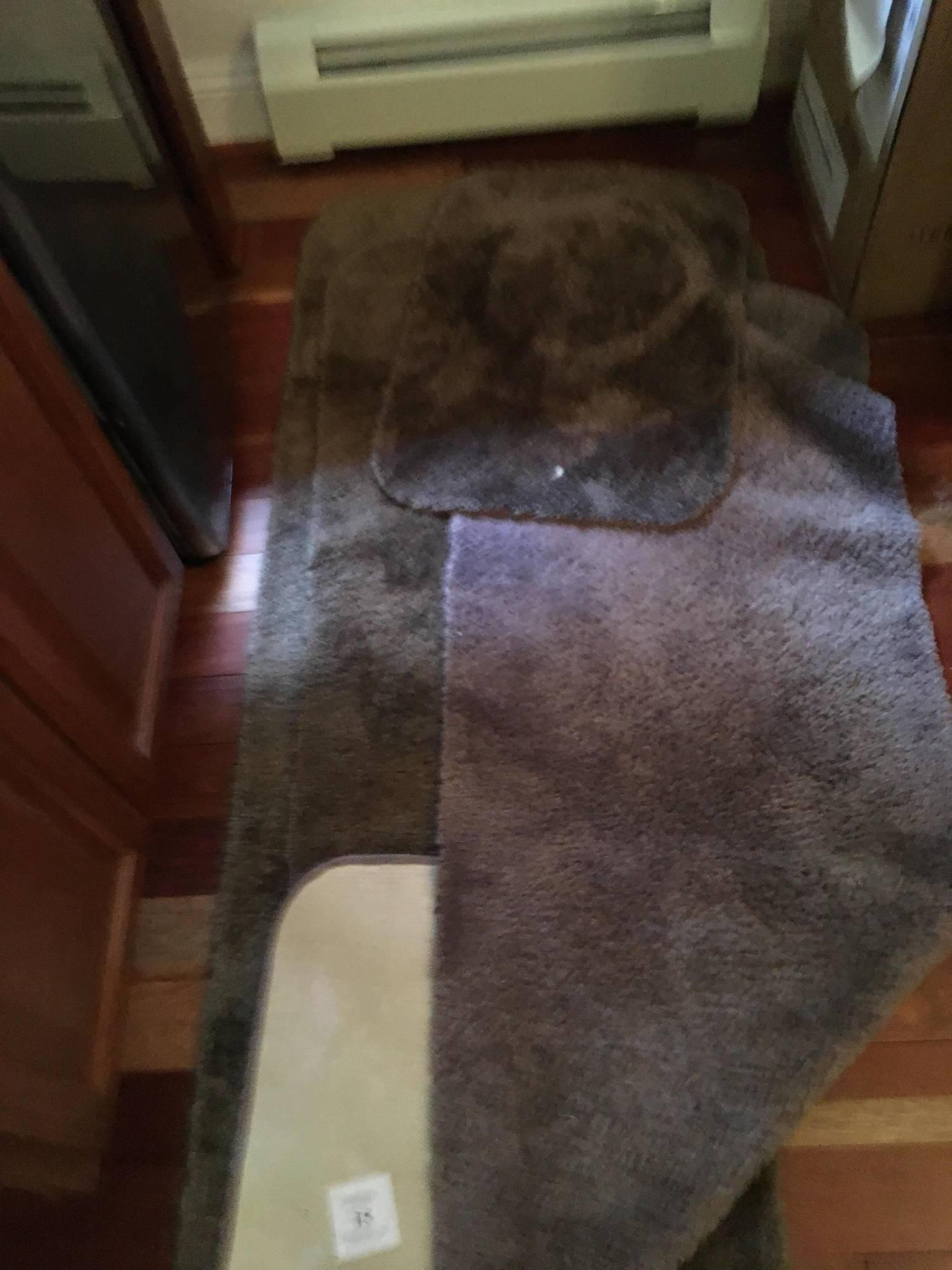 4 PIECE BATHROOM RUG SET