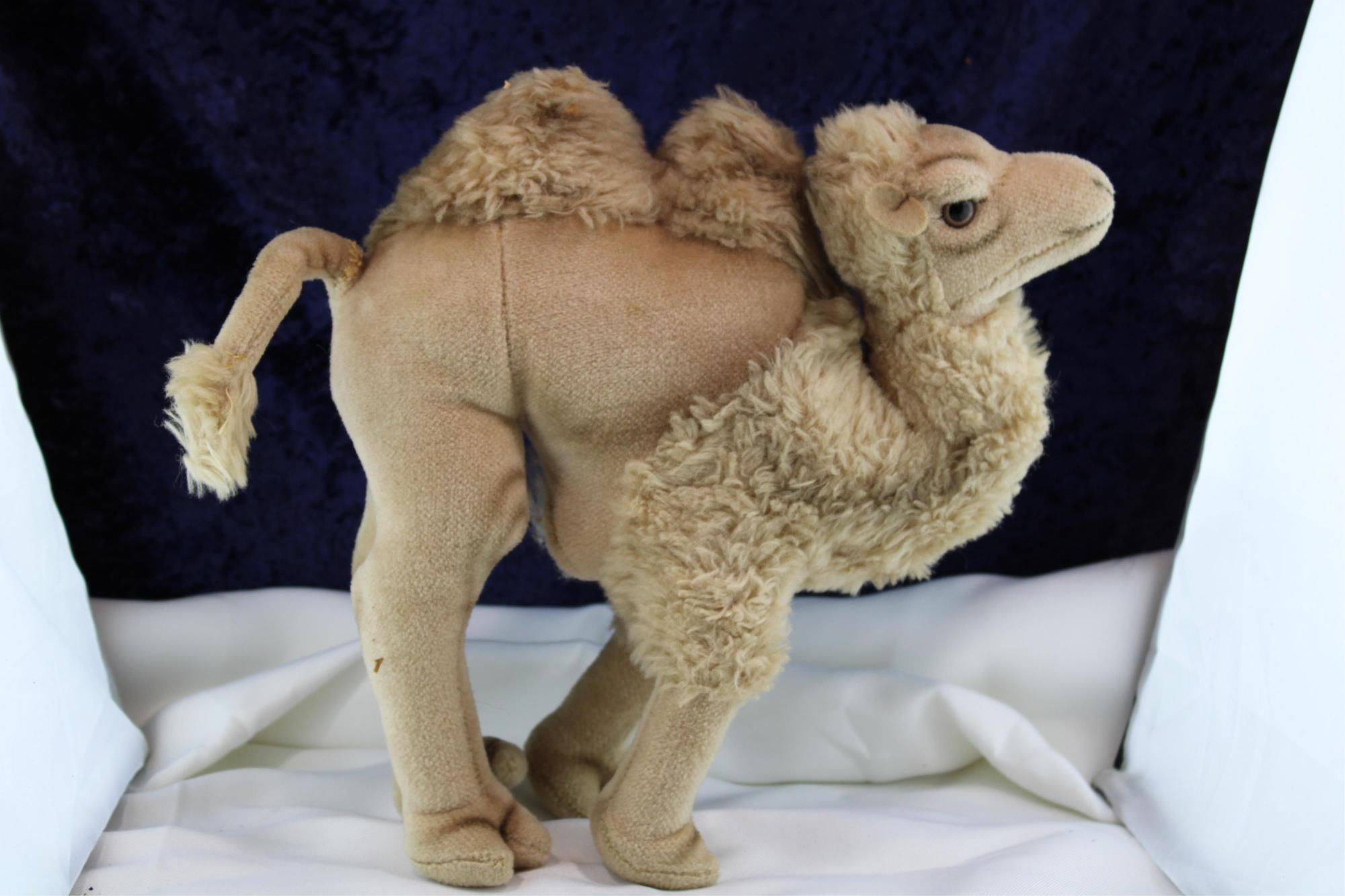 STEIFF COSY CAMEL