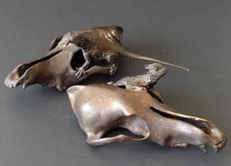 LIZARD ON SKULL BRONZE SCULPTURES