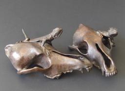 LIZARD ON SKULL BRONZE SCULPTURES