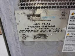 Parker-balston hydrogen generator