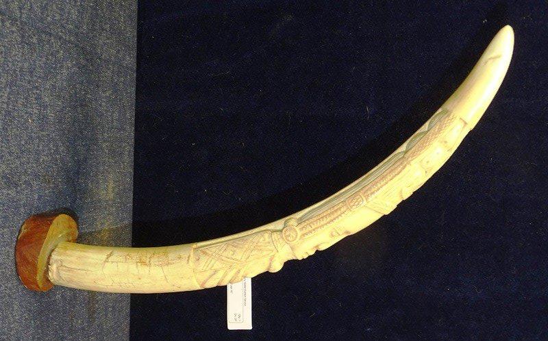 Carved Ivory Walrus Tusk 16"