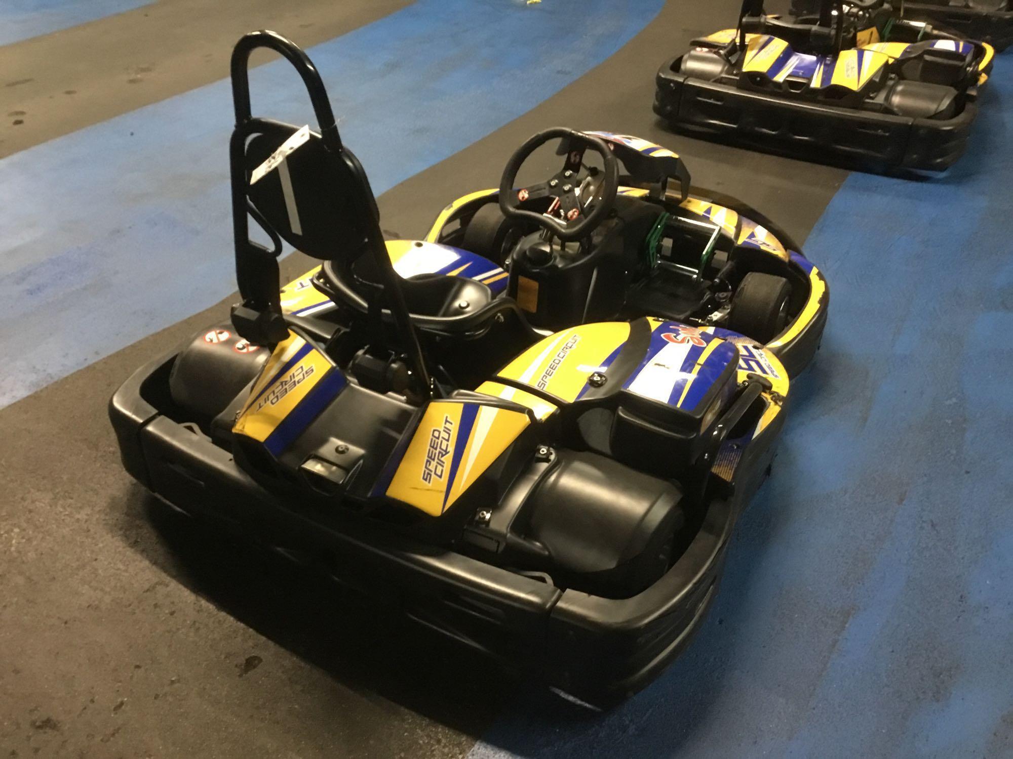 2017 Sodi 6-1/2HP Rx8 Honda GX Motor Go-Cart