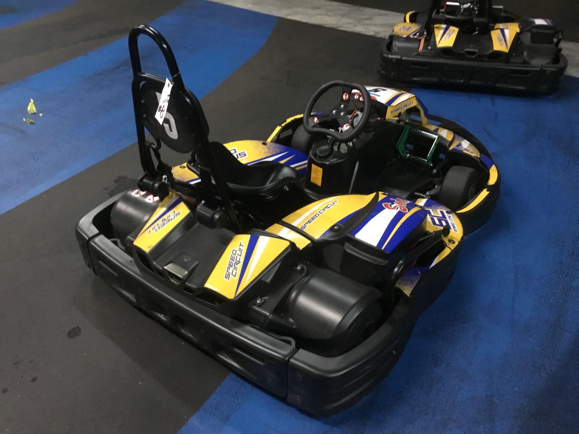 2017 Sodi 6-1/2HP Rx8 Honda GX Motor Go-Cart