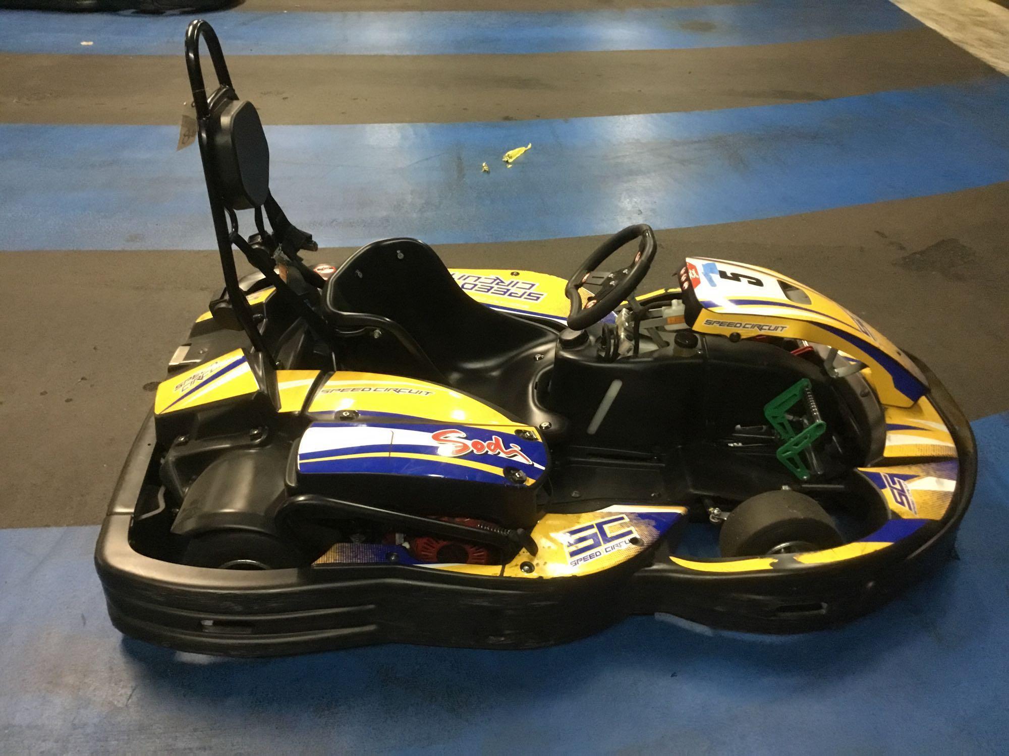 2017 Sodi 6-1/2HP Rx8 Honda GX Motor Go-Cart