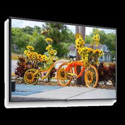 NEC 55in. Thin-Depth Commercial Display