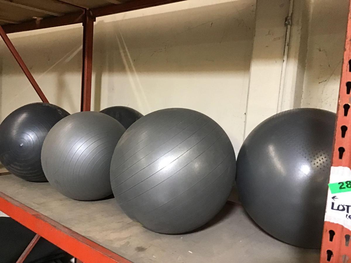 Lot of (6) Inflatable Vinyl Workout Balls