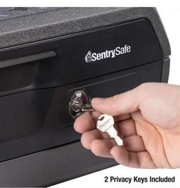 SentrySafe 0.36 cu. ft. Fireproof & Waterproof Safe