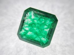 Unheated Unaltered 9.0ct Emerald from Brazil - Radiant Cut - con 583