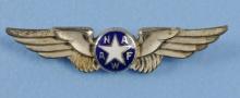 WW2 Women's Air Force Wing (JMT)