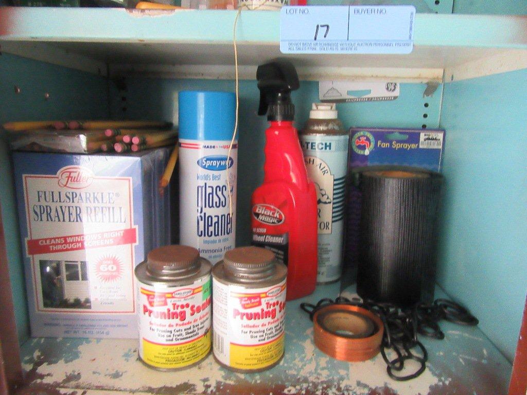 CLEANERS, LIGHT BULBS, AND CONTENTS OF CABINET