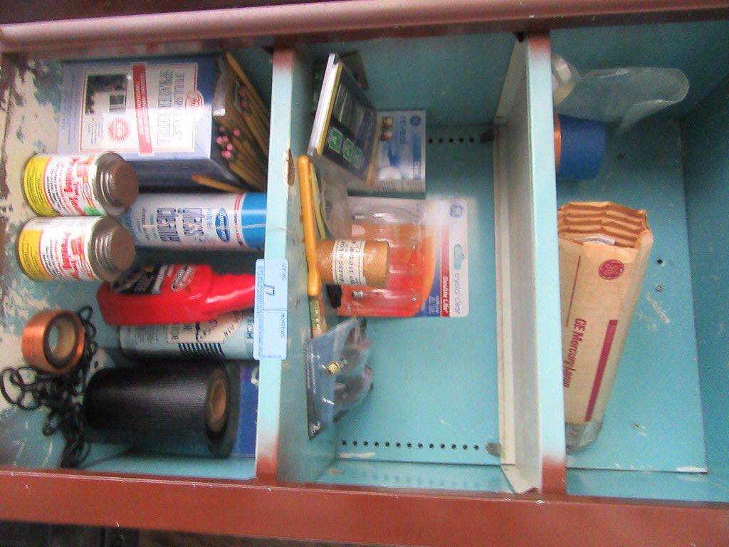 CLEANERS, LIGHT BULBS, AND CONTENTS OF CABINET