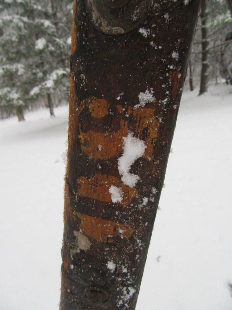 OLD STEP LADDER NUMBER 50 ON SIDE